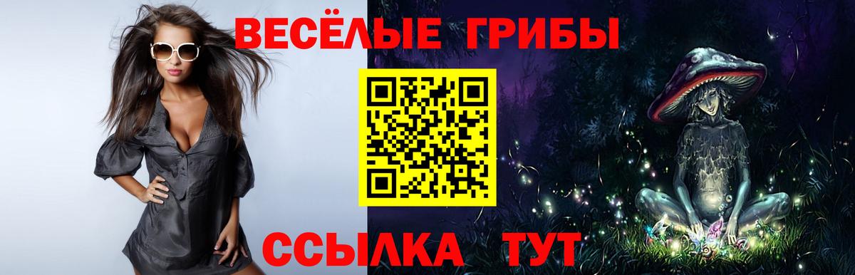 Галлюциногенные грибы GOLDEN TEACHER  Вход с VPN  Кирово-Чепецк 
